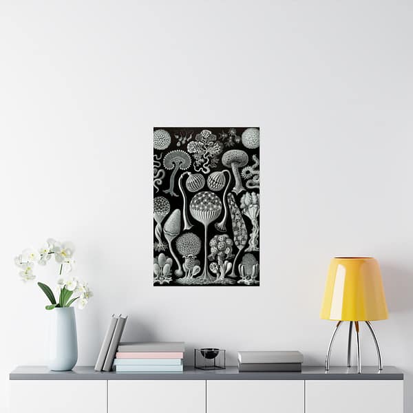6594738867713139792_2048.jpeg Mycetozoa, Kunstformen der Natur, plate 93 – Ernst Haeckel (1904) – Natural History Poster Print