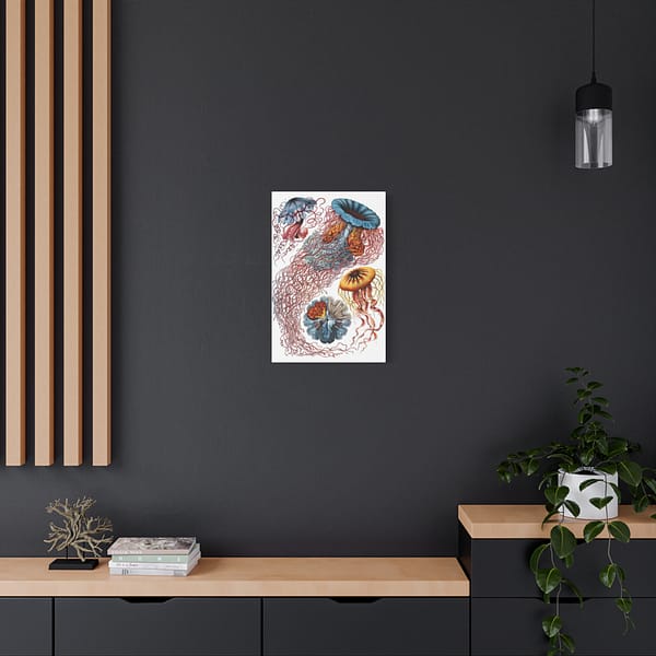 6657547736359990894_2048.jpeg Jellyfish (Discomedusae), Kunstformen der Natur – Ernst Haeckel (1904) – Natural History Canvas Print