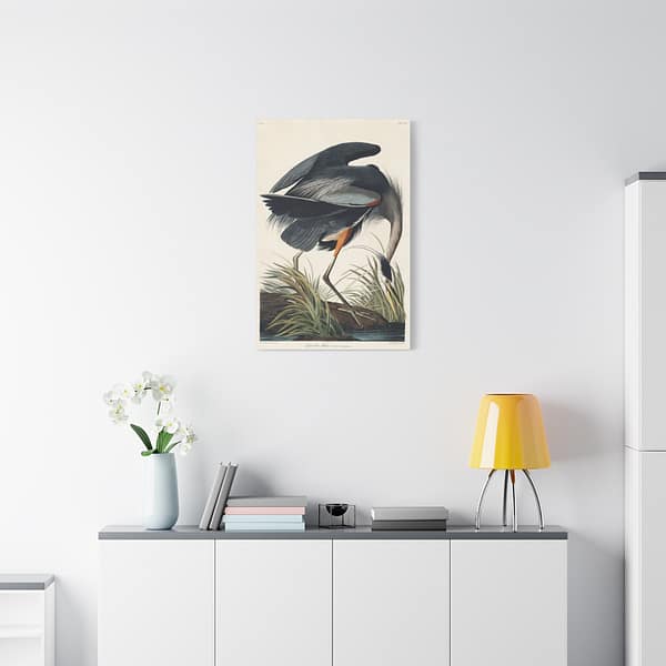 6671968626625516621_2048.jpeg Great Blue Heron, Birds of America – John James Audubon (1834) – Natural History Canvas Print