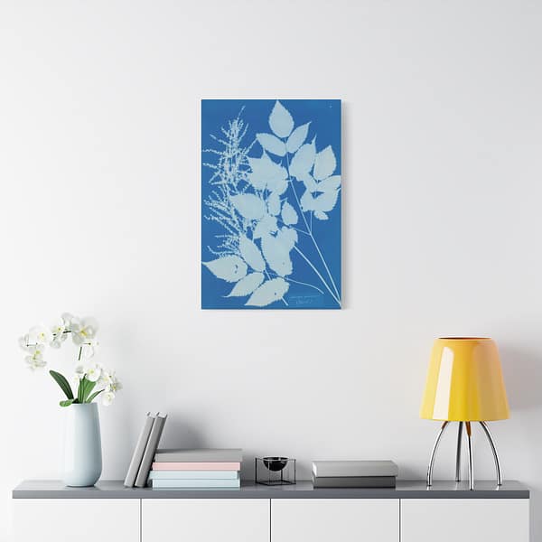 6839832877019547406_2048.jpeg Spiraea aruncus (Tyrol) Cyanotype – Anna Atkins (c. 1851-54) – Botanical Canvas Print