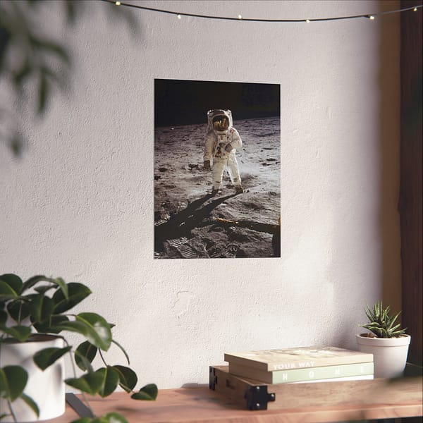 6977055006040104478_2048.jpeg Buzz Aldrin on the Moon - NASA Apollo 11 Mission Photograph (1969) - Space Age Poster Print