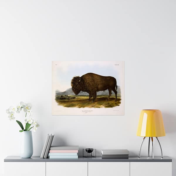 6980429631418660932_2048.jpeg Bos Americanus, American Bison or Buffalo, plate 56 – John James Audubon (1845) – Natural History Poster Print