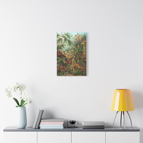7061879090174060125_2048.jpeg Mosses (Muscinae), Kunstformen der Natur – Ernst Haeckel (1904) – Botanical Canvas Print