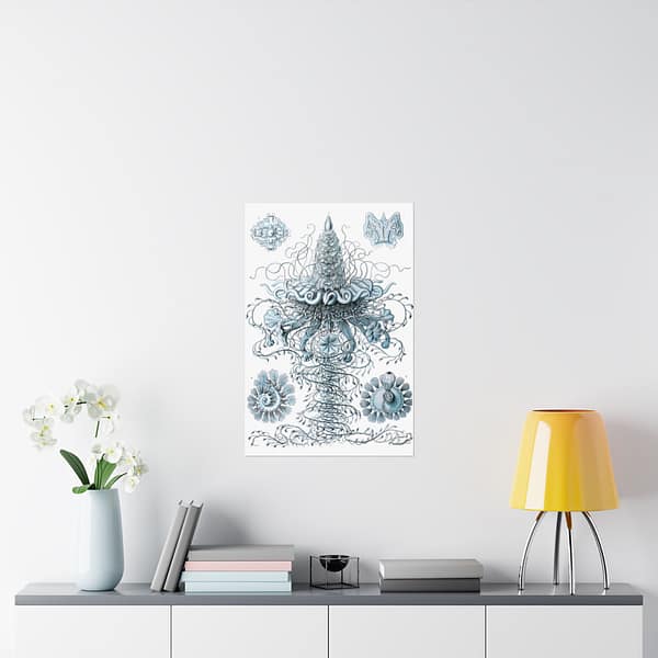 7196718684452085091_2048.jpeg Siphonophorae, Kunstformen der Natur, plate 37 – Ernst Haeckel (1904) – Natural History Poster Print