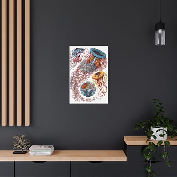 740946624587843750_2048.jpeg Jellyfish (Discomedusae), Kunstformen der Natur – Ernst Haeckel (1904) – Natural History Canvas Print