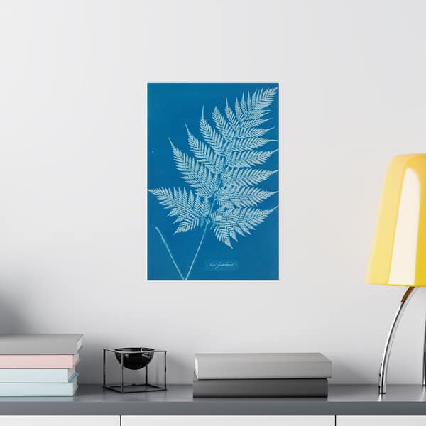 8122597976552116057_2048.jpeg New Zealand Fern Cyanotype – Anna Atkins (c. 1853-54) – Botanical Poster Print
