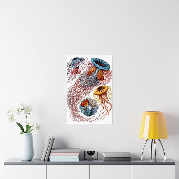 8572805107182127097_2048.jpeg Jellyfish (Discomedusae), Kunstformen der Natur – Ernst Haeckel (1904) – Natural History Poster Print