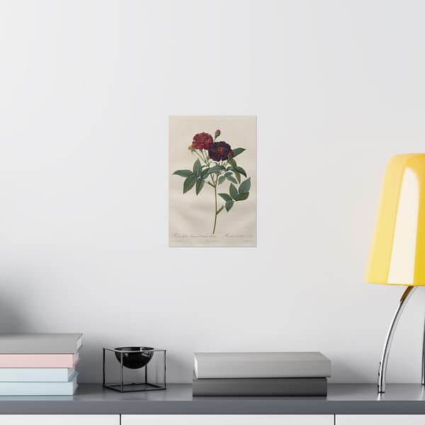 8719269184293616024_2048.jpeg Rosa Gallica Purpurea Velutina Parva (Rosier de Van-Eeden) – Pierre-Joseph Redouté (c. 1817-24) – Botanical Poster Print