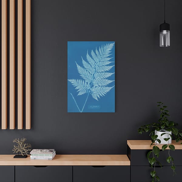 8728456873299511383_2048.jpeg New Zealand Fern Cyanotype – Anna Atkins (c. 1853-54) – Botanical Canvas Print
