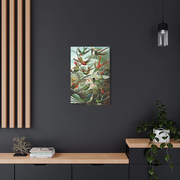 8851967306438654805_2048.jpeg Hummingbirds (Trochilidae), Kunstformen der Natur – Ernst Haeckel (1904) – Natural History Canvas Print
