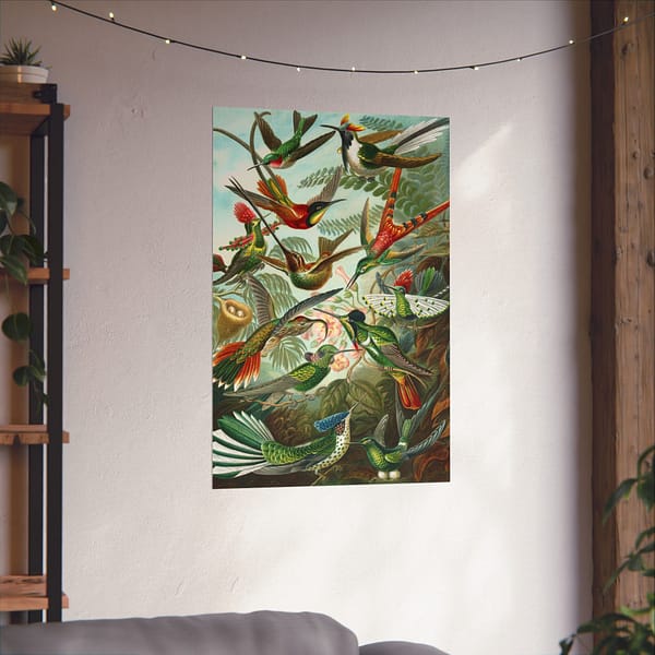 8888828272459497299_2048.jpeg Hummingbirds (Trochilidae), Kunstformen der Natur – Ernst Haeckel (1904) – Natural History Poster Print