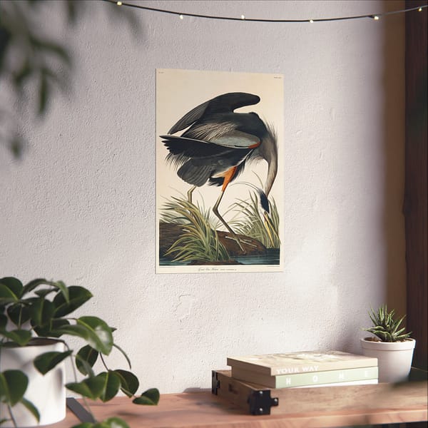 8959680127679318683_2048-1.jpeg Great Blue Heron, Birds of America – John James Audubon (1834) – Natural History Poster Print