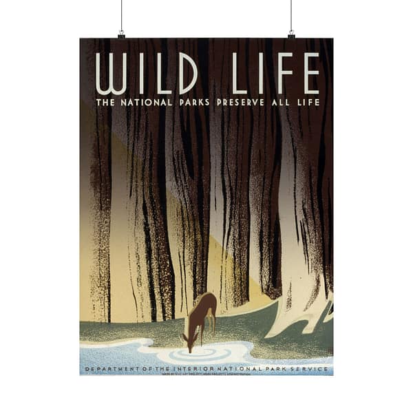 9064677798682794756_2048.jpeg Wild Life: The National Parks Preserve All Life – Works Progress Administration (c. 1930s) – Vintage Travel Poster Print