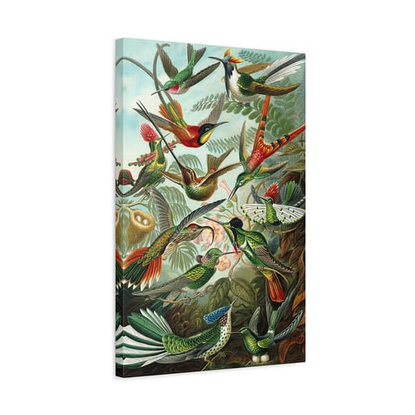 9100104650044653782_2048.jpeg Hummingbirds (Trochilidae), Kunstformen der Natur – Ernst Haeckel (1904) – Natural History Canvas Print