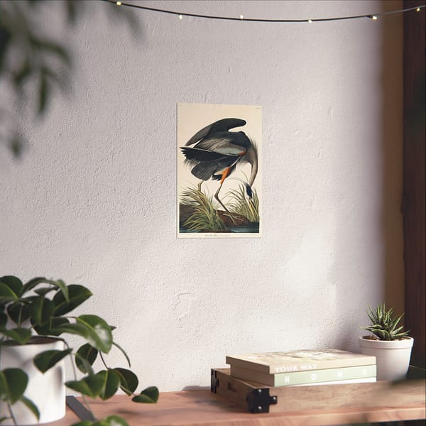 9114744918914121840_2048-1.jpeg Great Blue Heron, Birds of America – John James Audubon (1834) – Natural History Poster Print