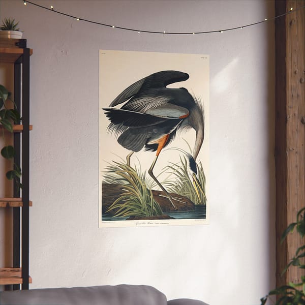 9269266184246910231_2048-1.jpeg Great Blue Heron, Birds of America – John James Audubon (1834) – Natural History Poster Print