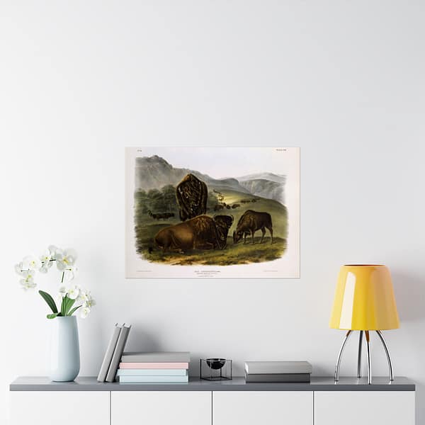 9388658032406245066_2048.jpeg Bos Americanus, American Bison or Buffalo, plate 57 – John James Audubon (1845) – Natural History Poster Print