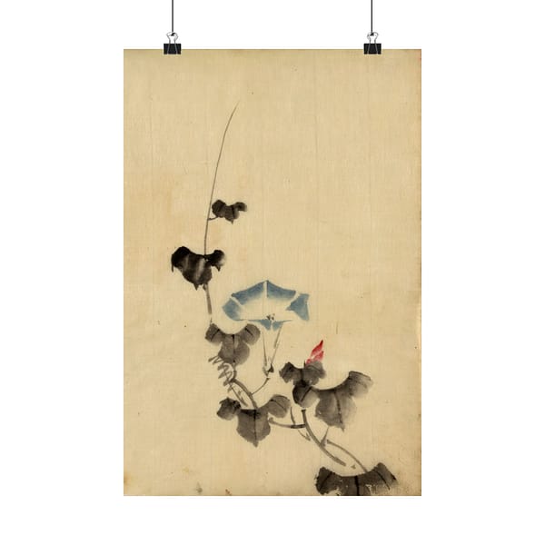 9535242832954534505_2048.jpeg Blue Blossom of Morning Glory on Vine - Katsushika Hokusai (1830) - Japanese Woodblock Poster Print