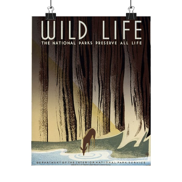 9709144721954899440_2048.jpeg Wild Life: The National Parks Preserve All Life – Works Progress Administration (c. 1930s) – Vintage Travel Poster Print