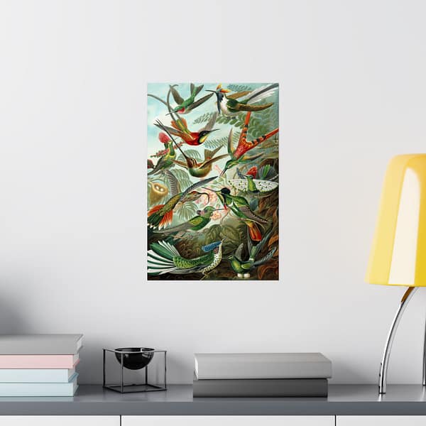 9895790308678200118_2048.jpeg Hummingbirds (Trochilidae), Kunstformen der Natur – Ernst Haeckel (1904) – Natural History Poster Print