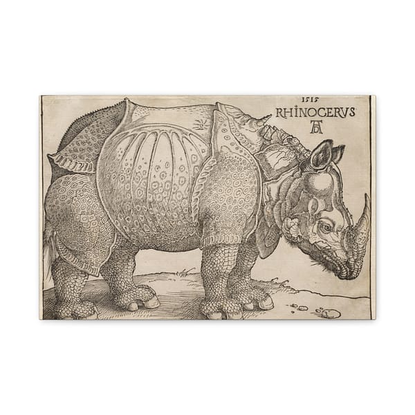 10165333085370539831_2048.jpeg Rhinoceros - Albrecht Dürer (1515) - Renaissance Canvas Print