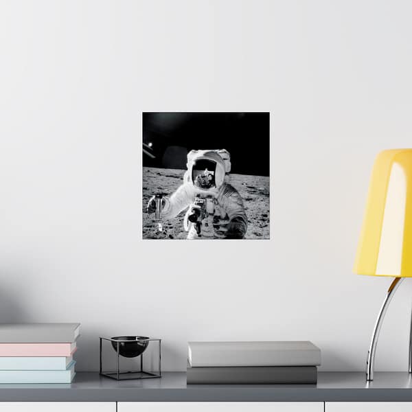 6053620570187147057_2048.jpeg Astronaut Alan Bean on the Moon - Apollo 12 Mission - NASA (1969) - Space Age Poster Print
