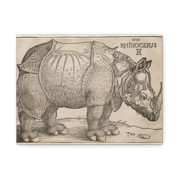 6980843265187294351_2048.jpeg Rhinoceros - Albrecht Dürer (1515) - Renaissance Canvas Print