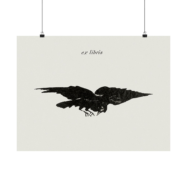 14029251598564687656_2048.jpeg The Flying Raven (Le Corbeau Volant, les Ailes Déployées) - Édouard Manet (1875) - Vintage Lithograph Poster Print