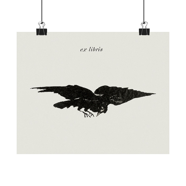 15314656935670556909_2048.jpeg The Flying Raven (Le Corbeau Volant, les Ailes Déployées) - Édouard Manet (1875) - Vintage Lithograph Poster Print