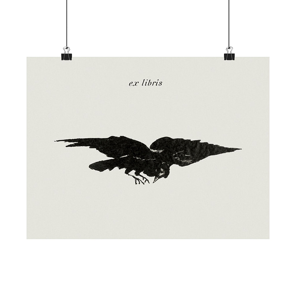 17943045400659145979_2048.jpeg The Flying Raven (Le Corbeau Volant, les Ailes Déployées) - Édouard Manet (1875) - Vintage Lithograph Poster Print